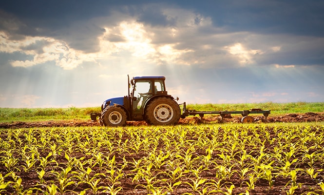 Tractor on farm land