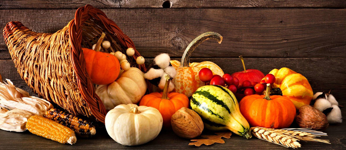 pumpkins, corn, gourds