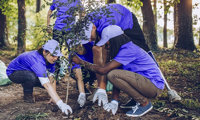 Group of people planting a tree