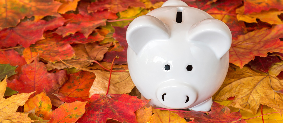 Piggy bank sitting in a pile of autumn leaves