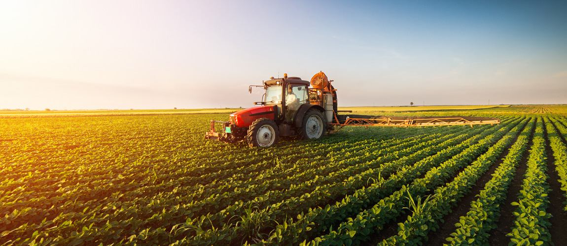 Tractor spraying a field